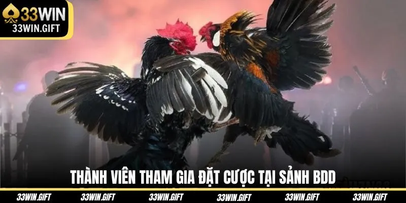 thanh-vien-tham-gia-dat-cuoc-tai-sanh-bdd