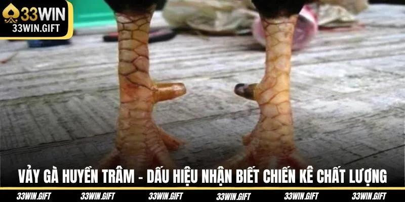 vay-ga-huyen-tram